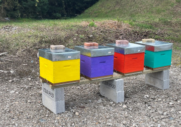 Mise en place de 4 ruches à la fonderie