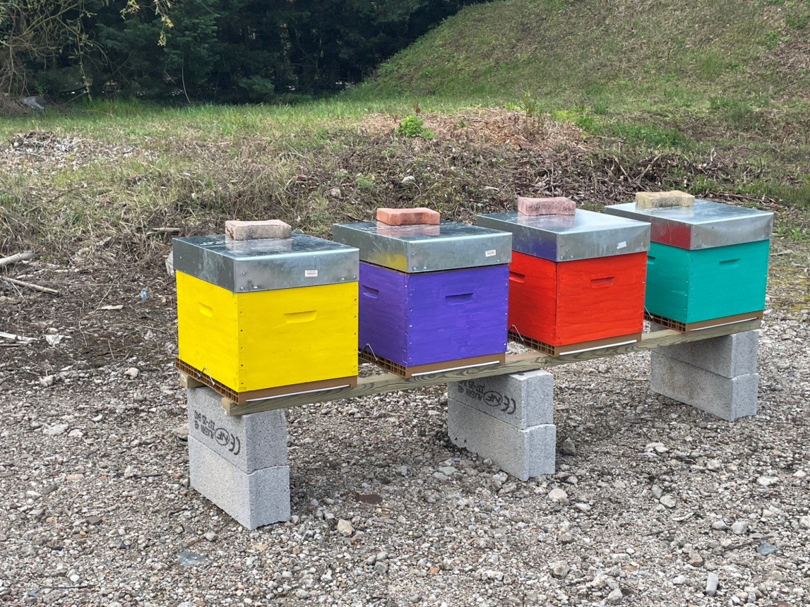Mise en place de 4 ruches à la fonderie