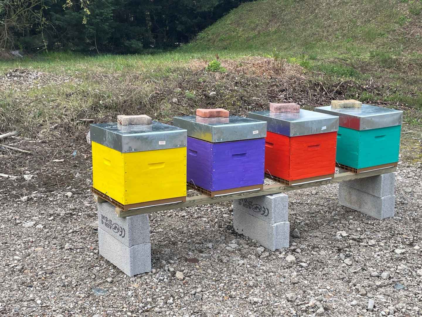 Mise en place de 4 ruches à la fonderie